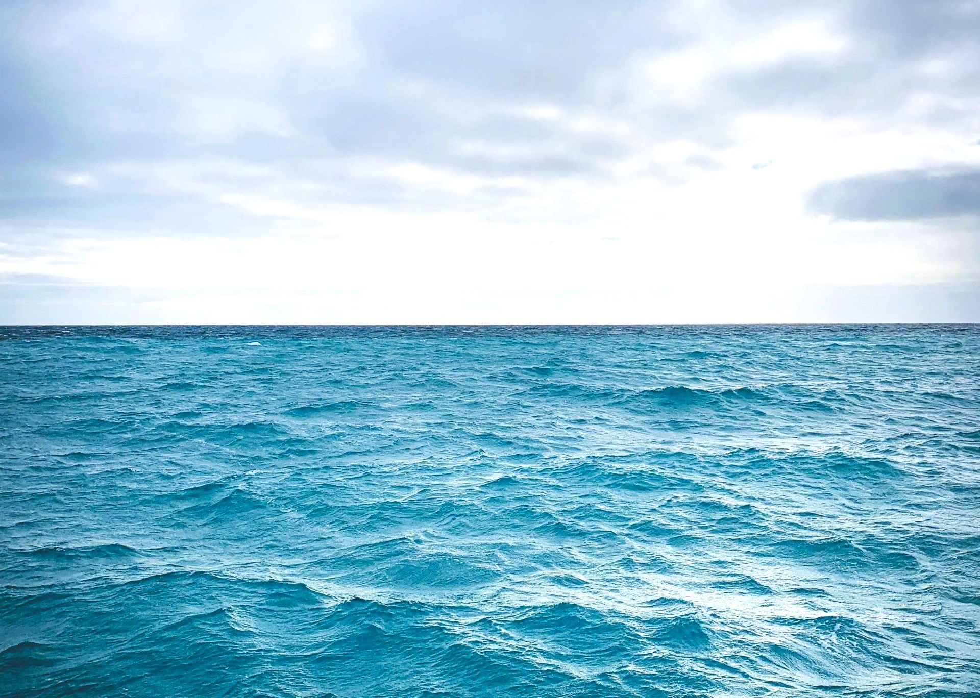 Ocean Deep - A Poem by Sue Cartwright, Spiral Leaf