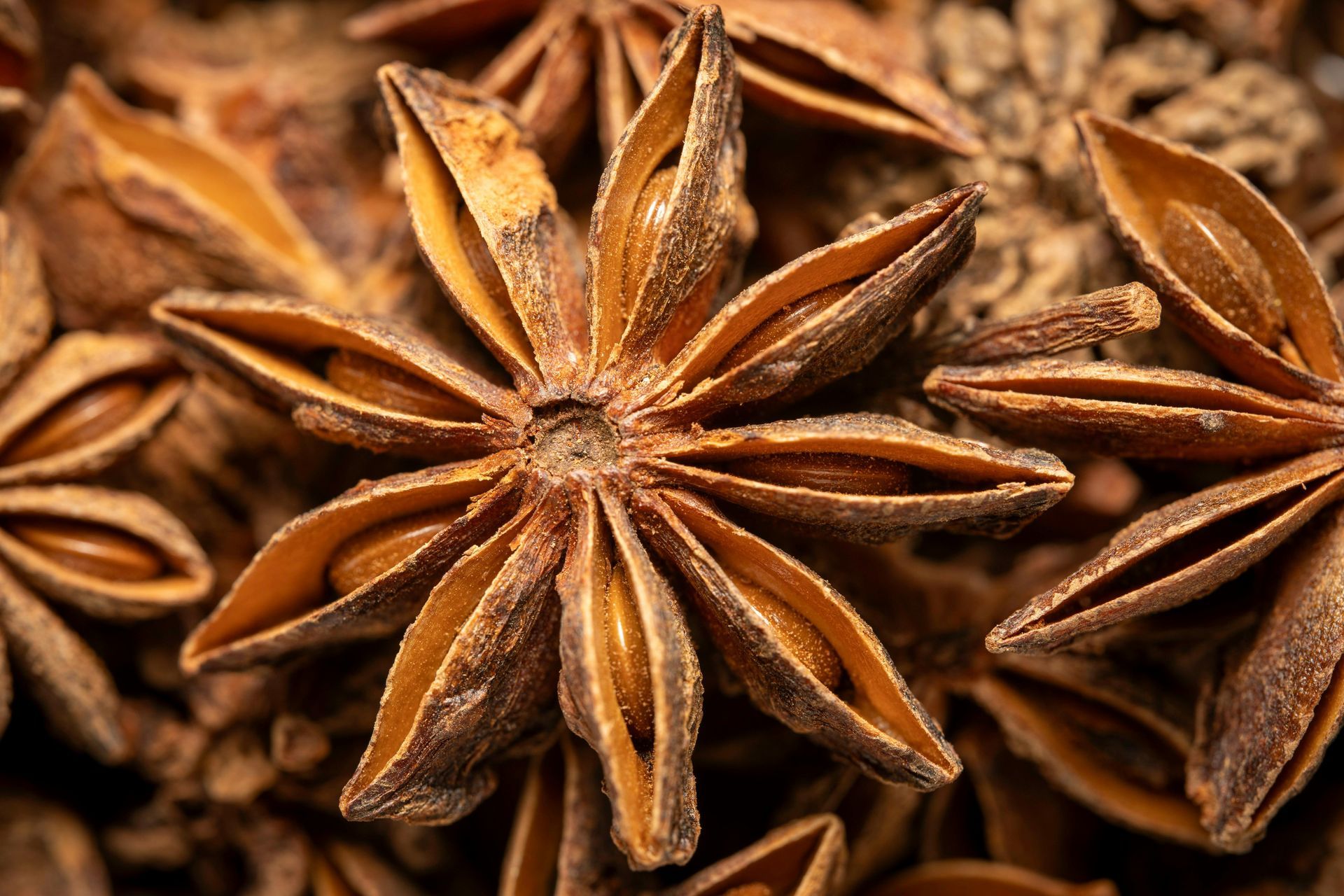 A Healing Spice (Star Anise) by Sue Cartwright, Spiral Leaf A Healing Spice (Star Anise) by Sue Cartwright, Spiral Leaf