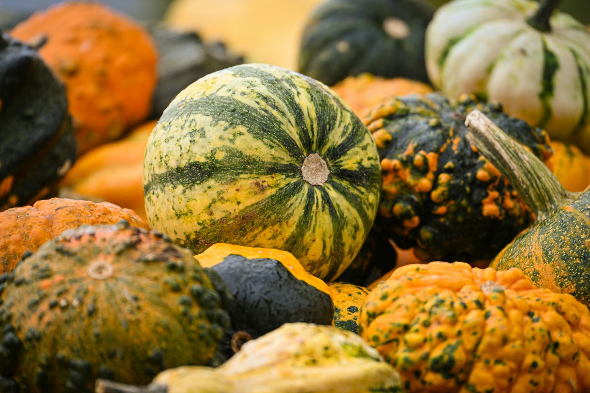 Welcome October (Almanac 2025) by Sue Cartwright, Spiral Leaf
