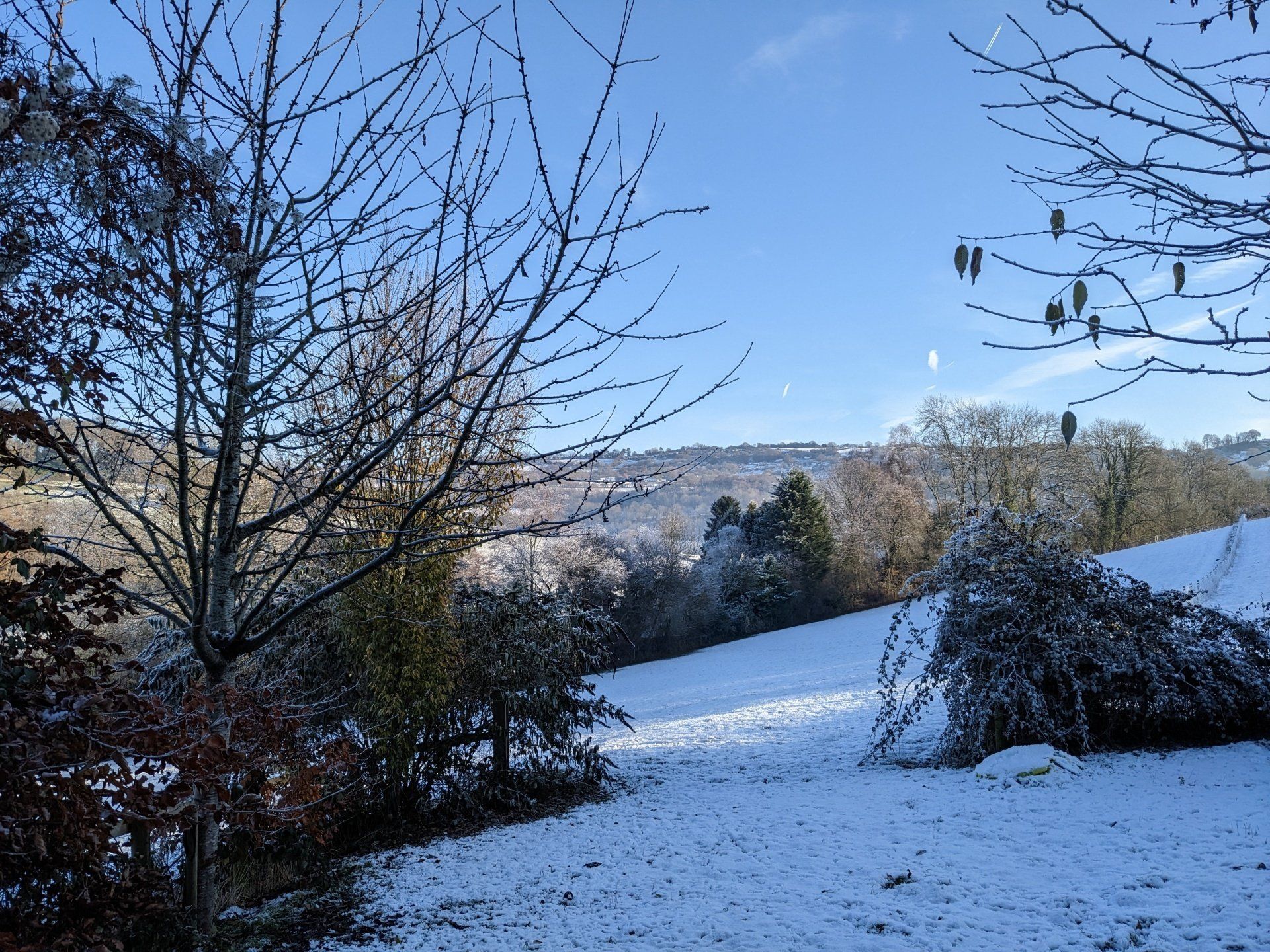 Winter Wonderland - A Poem by Sue Cartwright, Spiral Leaf