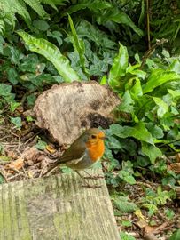Spiral Leaf - A website dedicated to Nature and Natural Health Spiral Leaf - A website dedicated to Nature, Natural Health and Spiritual Growth