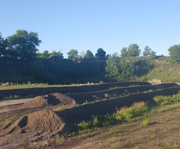 Dirt track with berms and jumps on a sunny day, bordered by trees and grass
