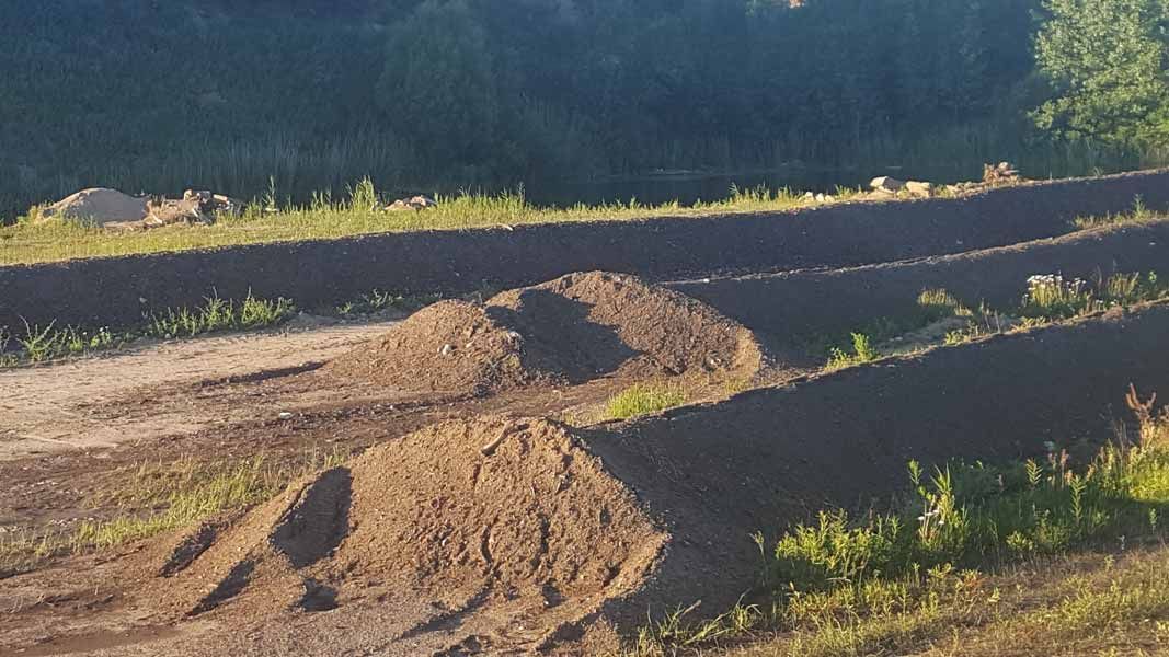 Dirt mounds on a grassy roadside at sunset, with trees in the background
