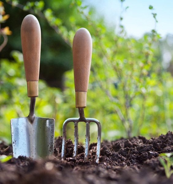 Garden trowel and hand fork planted in soil with green plants in the background