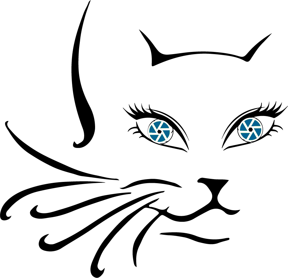 Modern cat outline icon symbolizing Cat Cusimano's distinctive and approachable real estate brand