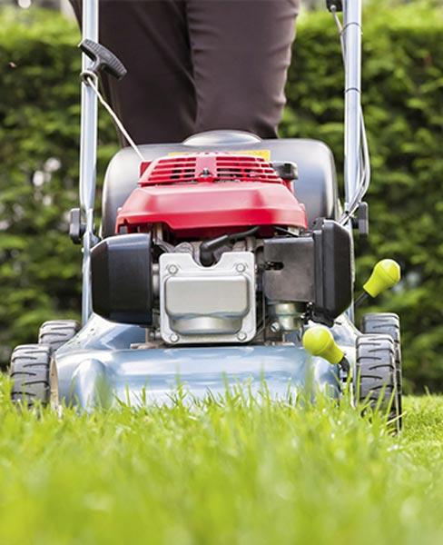 PLAN LIMPIEZA - LIMPIEZA Y JARDINERÍA