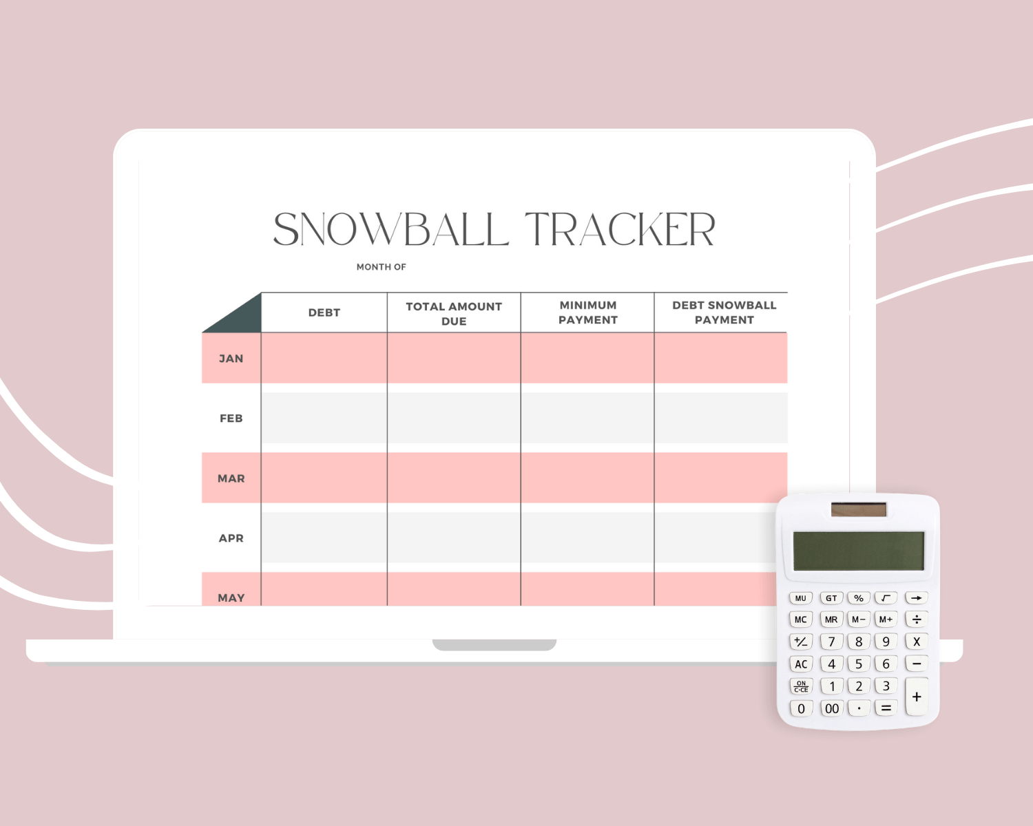 We paid off over $20k of student loan debt in 12 months using the debt snowball method.