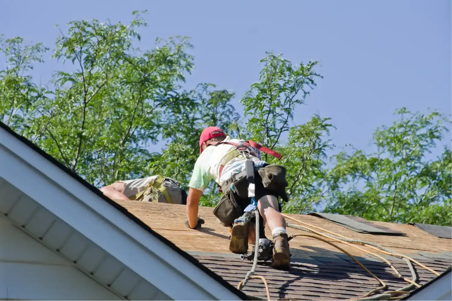 Get found on Google Maps — a roofing company listing moving from red to green in local rankings