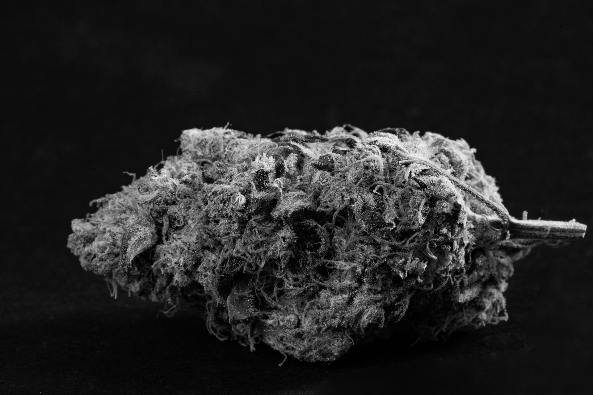 A close-up, black-and-white image of a single cannabis bud centered against a dark background.