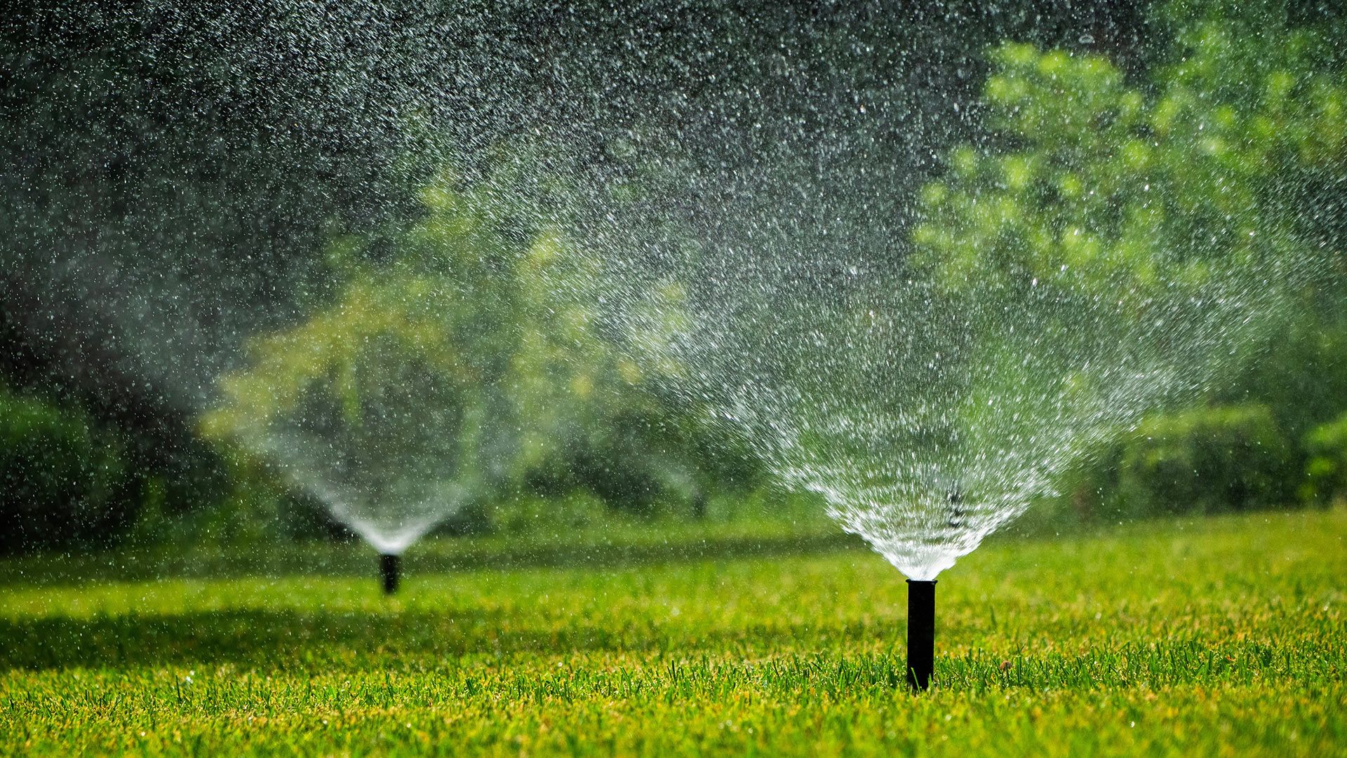 Two lawn sprinklers spraying water over a green grassy field in daylight
