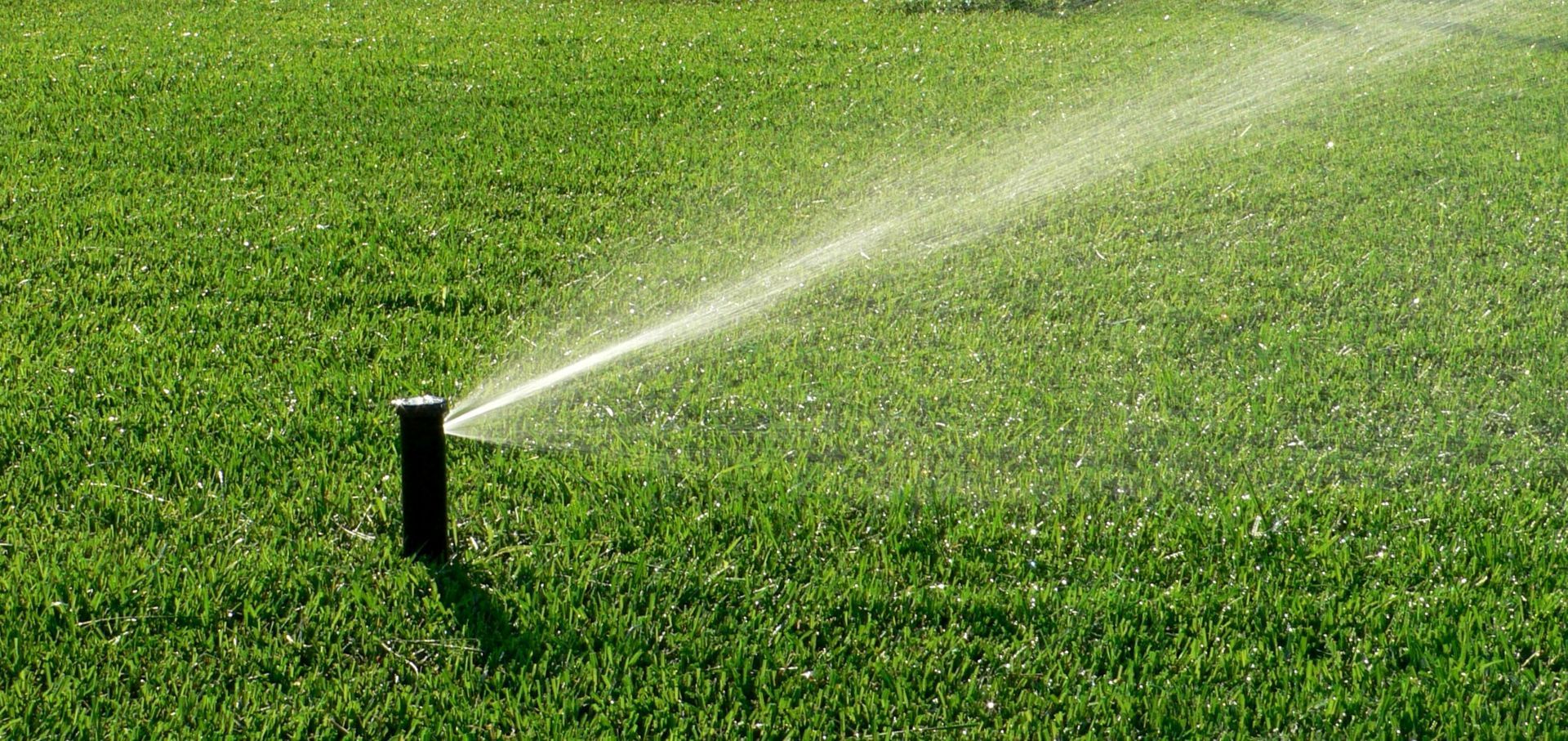 Sprinkler spraying water across a green lawn
