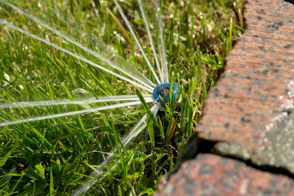 Close-up of a lawn sprinkler spraying water across green grass beside a brick edge