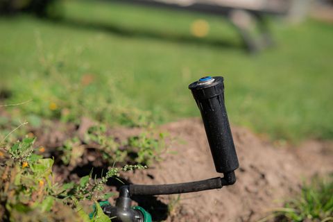 Black garden sprinkler head watering grass in a sunlit lawn