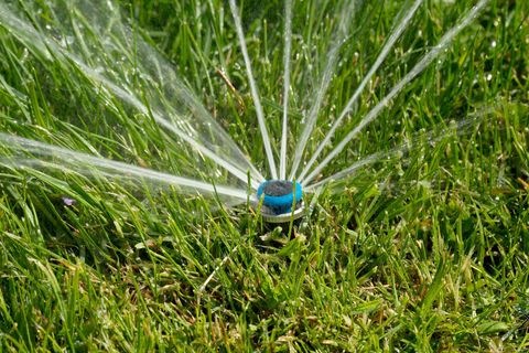 Rotating lawn sprinkler spraying water over green grass