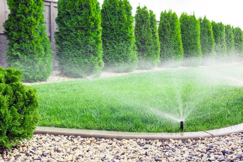 Lawn sprinkler watering a green garden with tall shrubs and gravel border