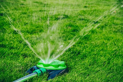 Sprinkler spraying water over a lush green lawn