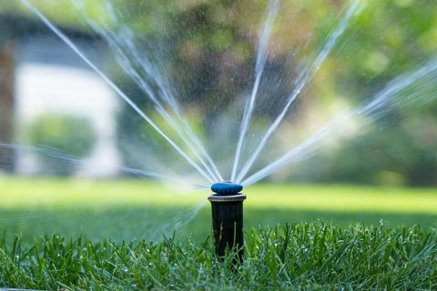 Sprinkler spraying water over green lawn in a backyard garden