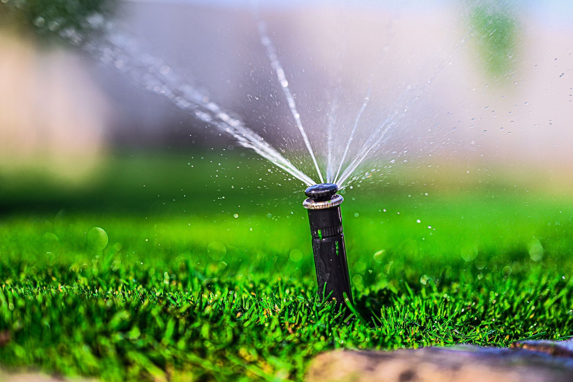 Sprinkler spraying water over bright green grass in a garden