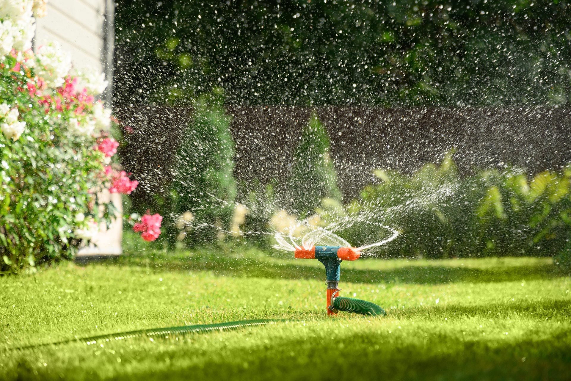 Child spraying a lawn with a garden sprinkler in a sunny green yard