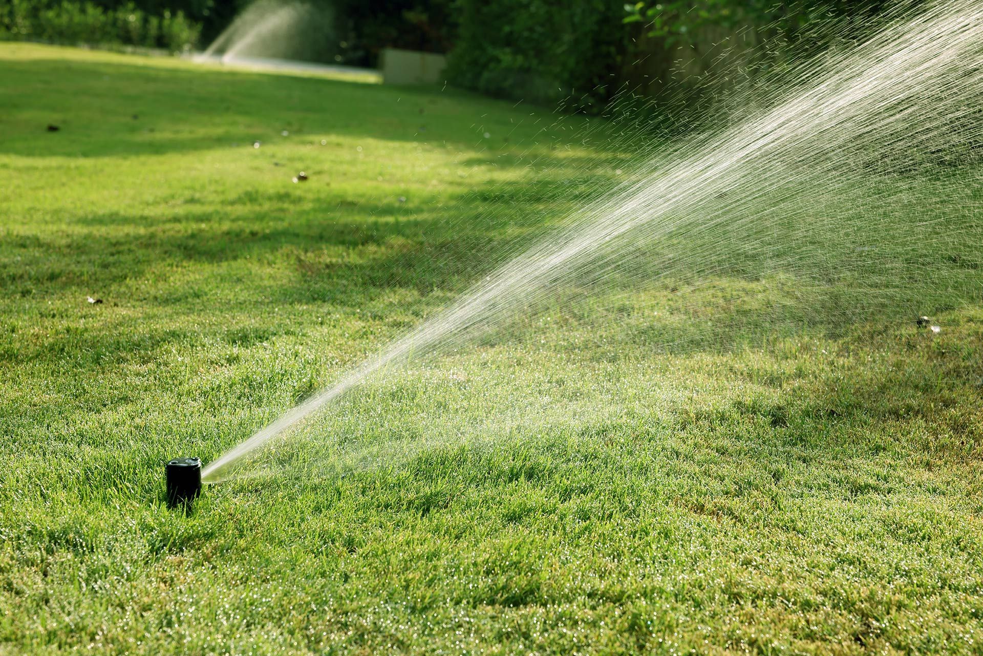 Sprinkler watering a green lawn on a sunny day