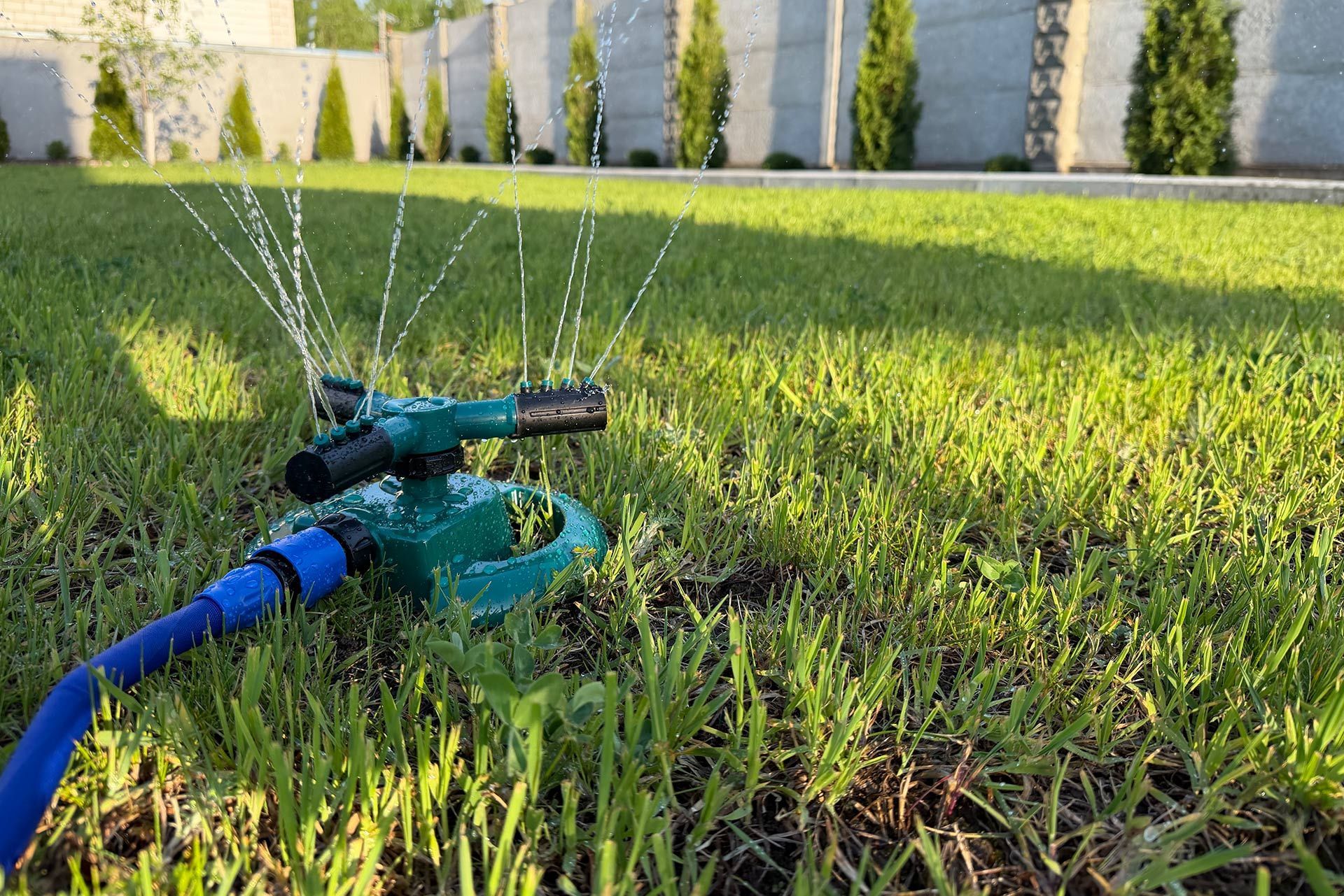 Lawn sprinkler spraying water across a green yard with a blue hose in the foreground