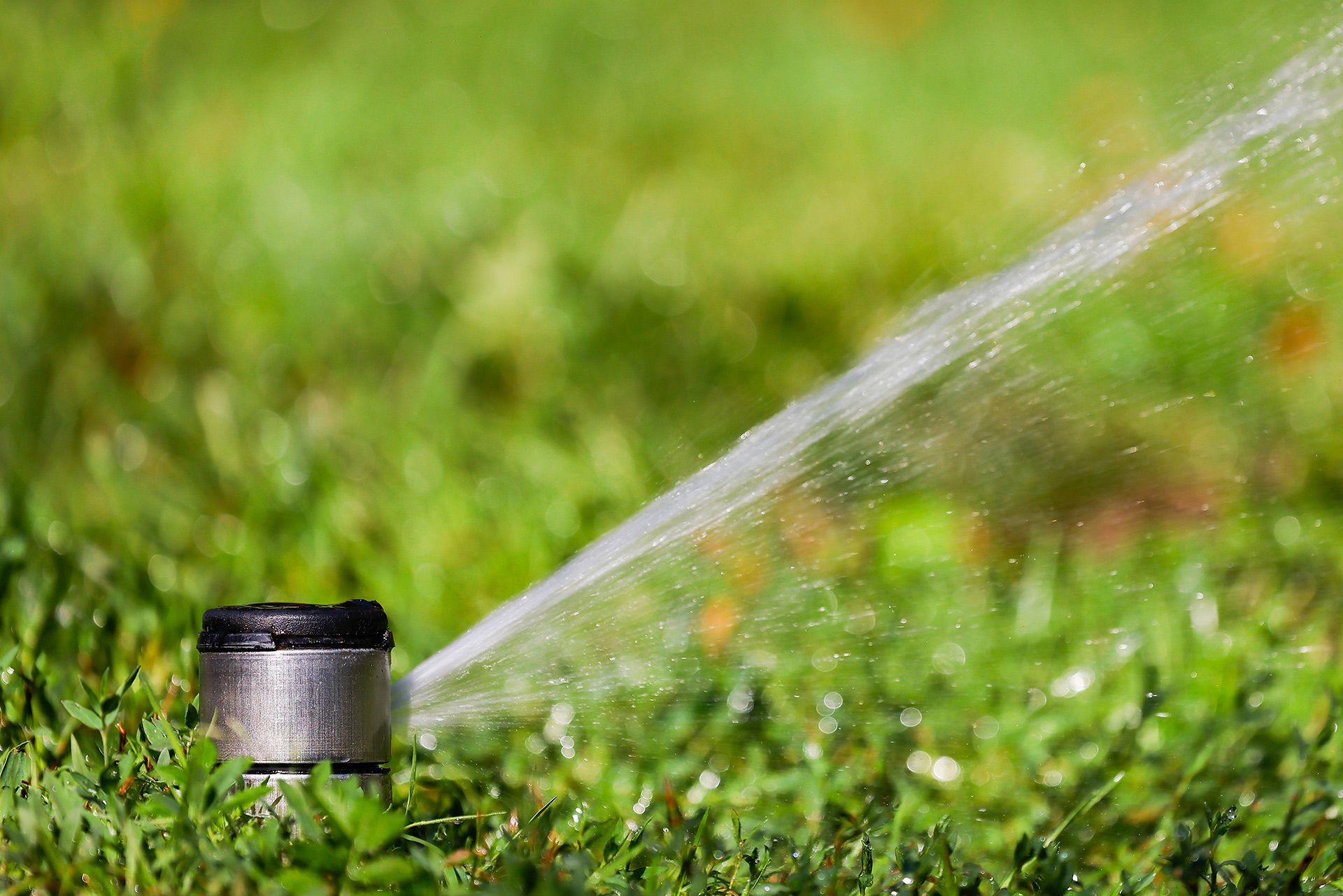Sprinkler spraying water across a green lawn at close range