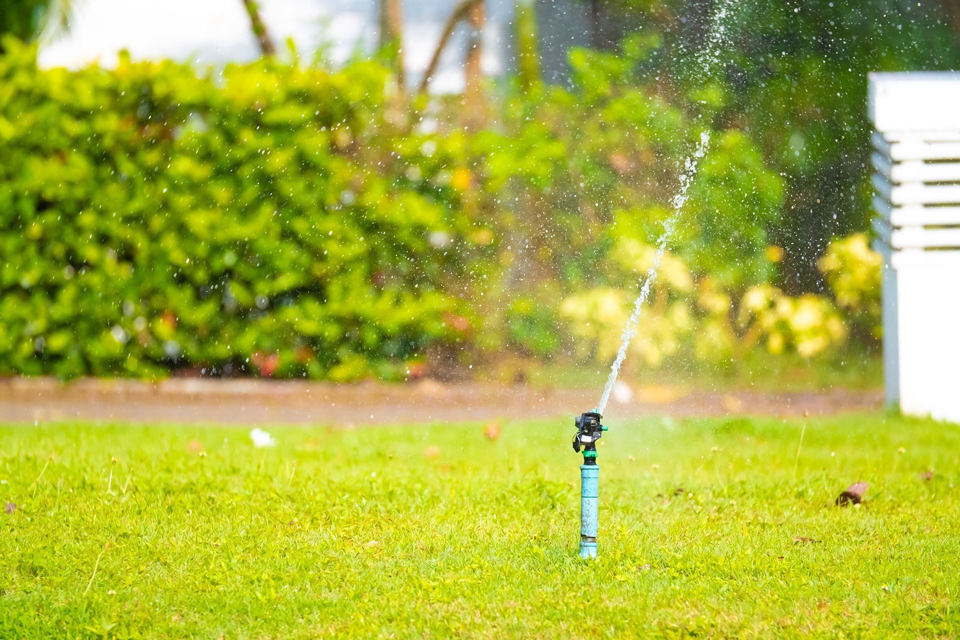 Lawn sprinkler spraying water across a green yard, with bushes in the background.
