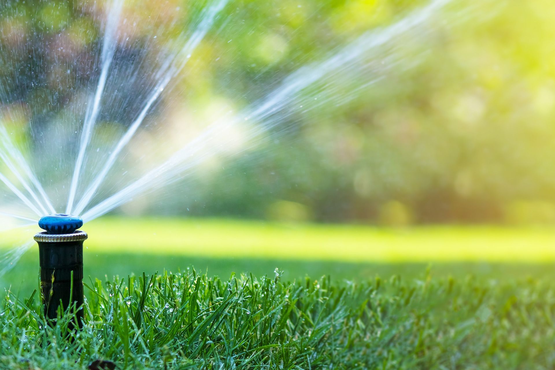 Lawn sprinkler spraying water across green grass in a sunny yard