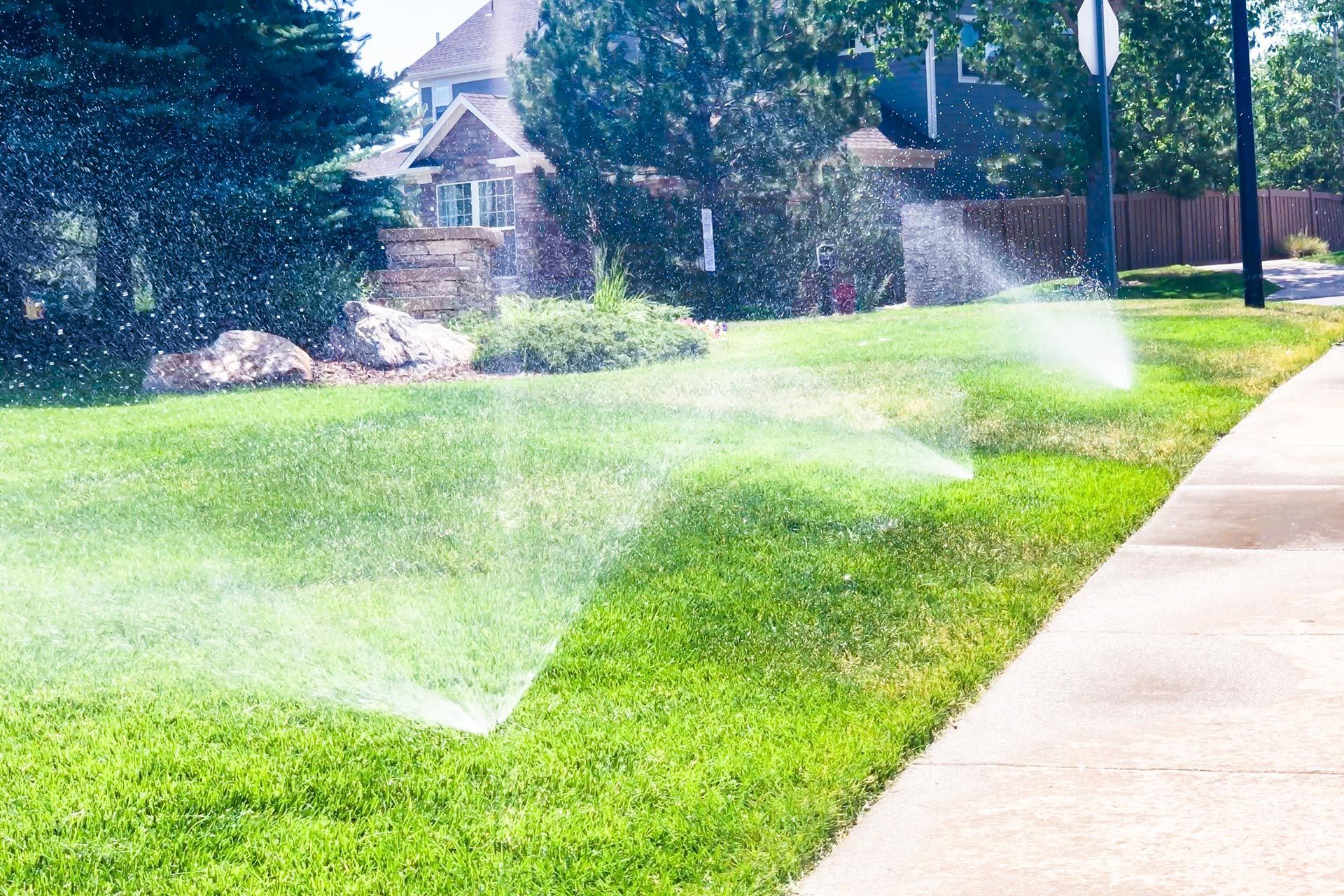 Sprinklers watering a green lawn beside a sidewalk in a suburban yard
