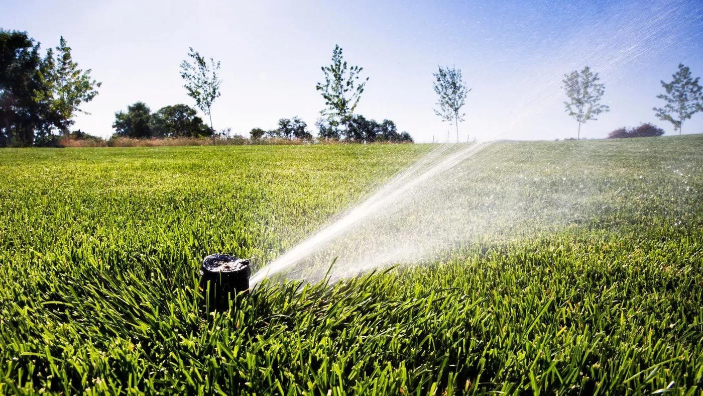 Sprinkler spraying water across a green field under a bright blue sky