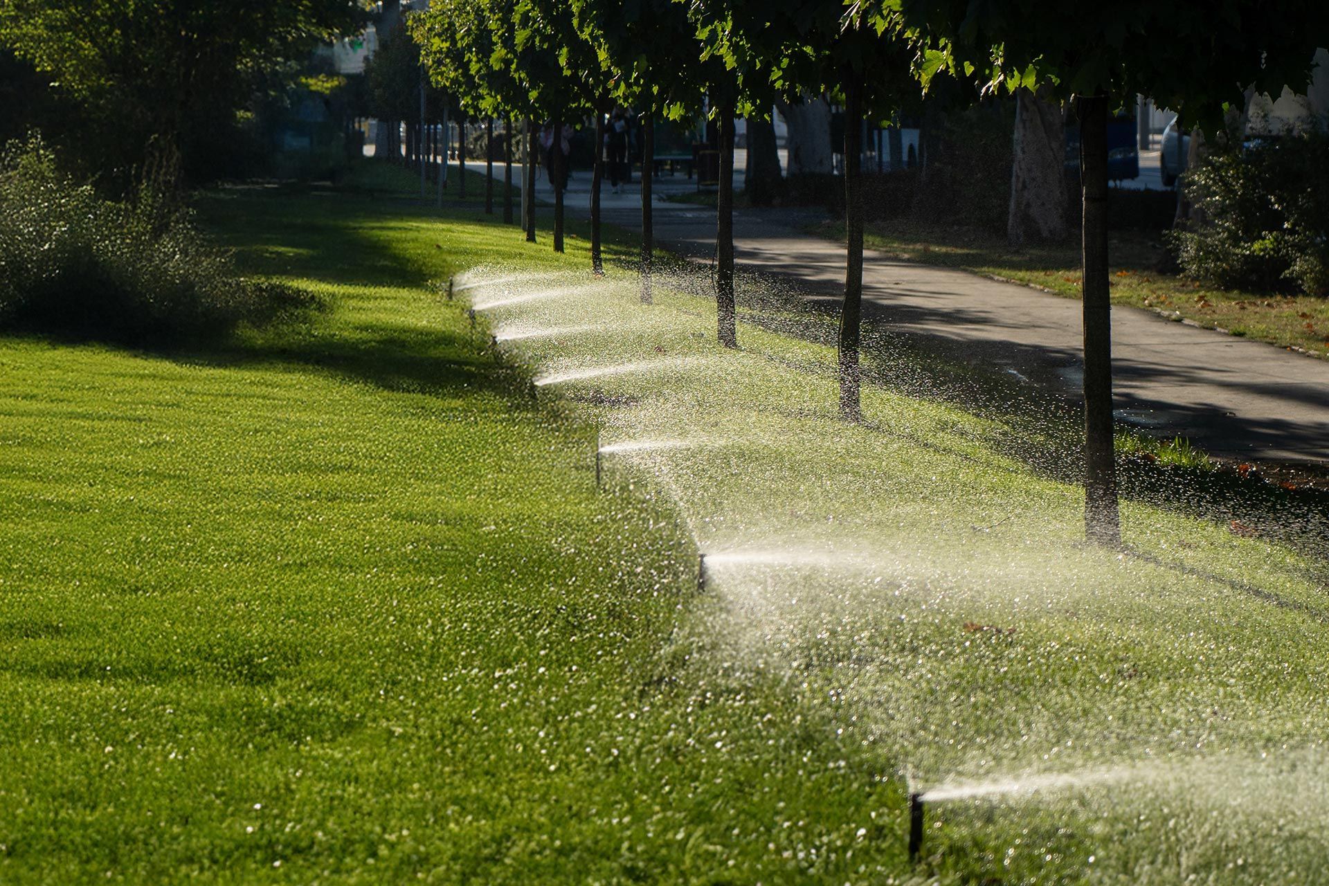Lawn sprinklers watering a grassy park path beside trees in sunlight