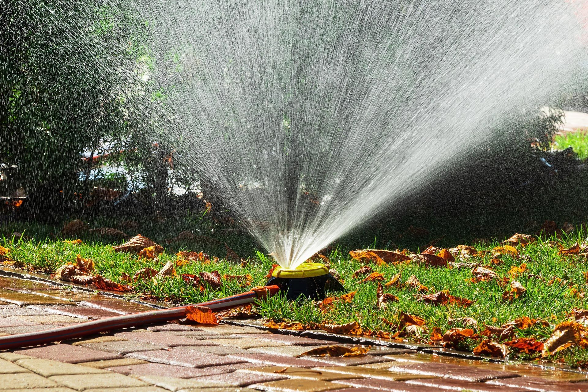 Lawn sprinkler spraying water across a grassy garden beside a brick walkway