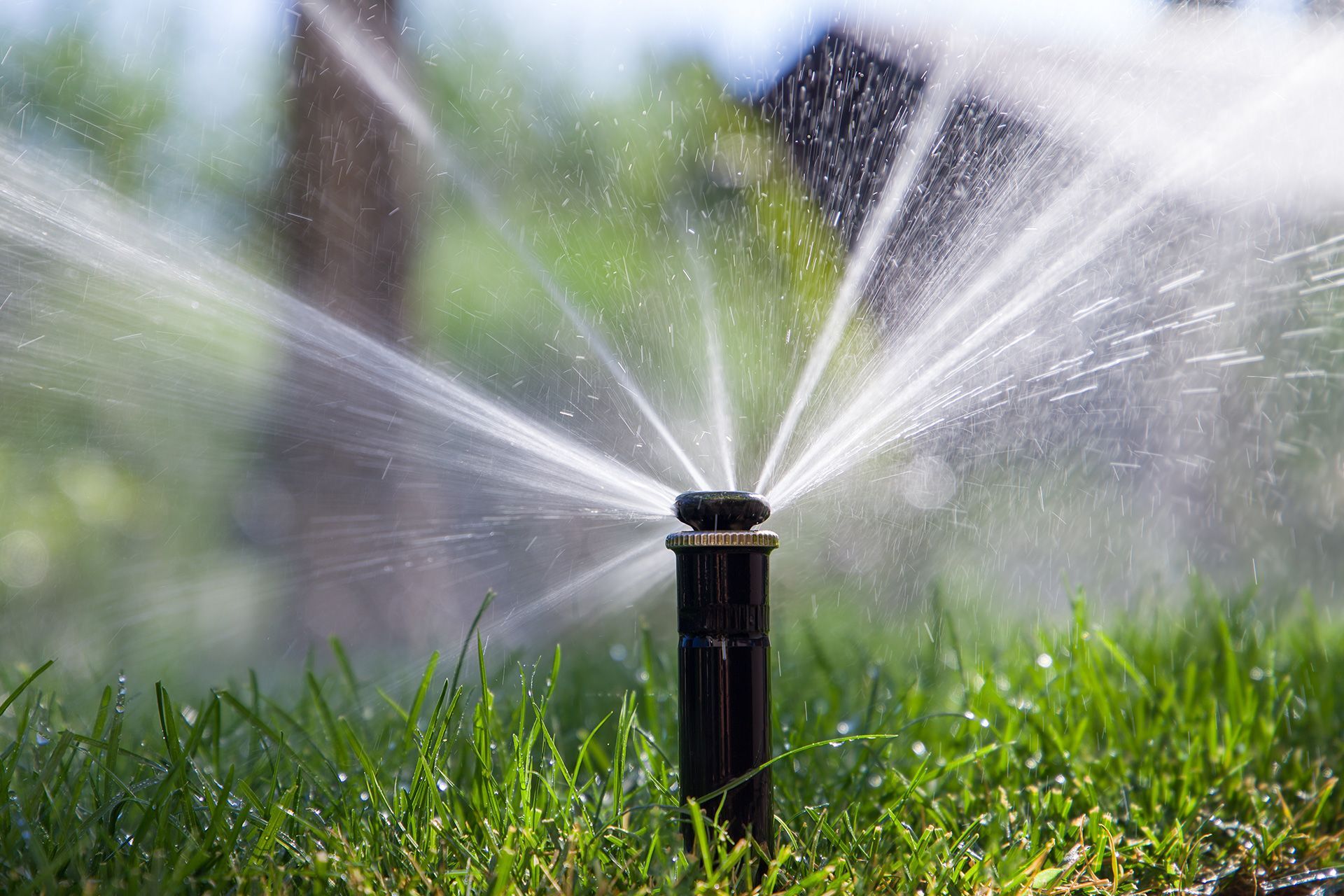 Lawn sprinkler spraying water over green grass in sunlight