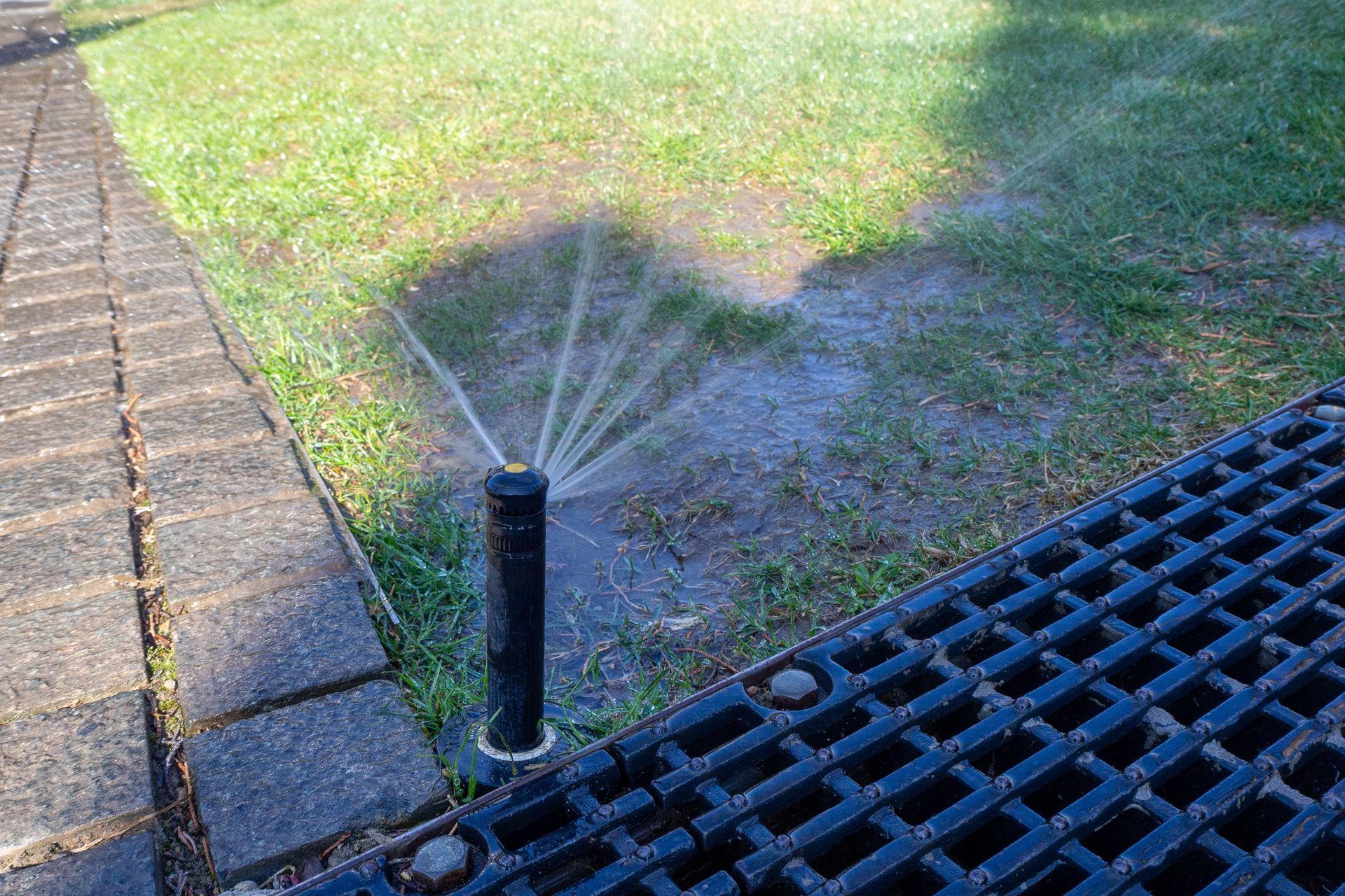Sprinkler spraying water on a grassy lawn beside a paved path and metal grate