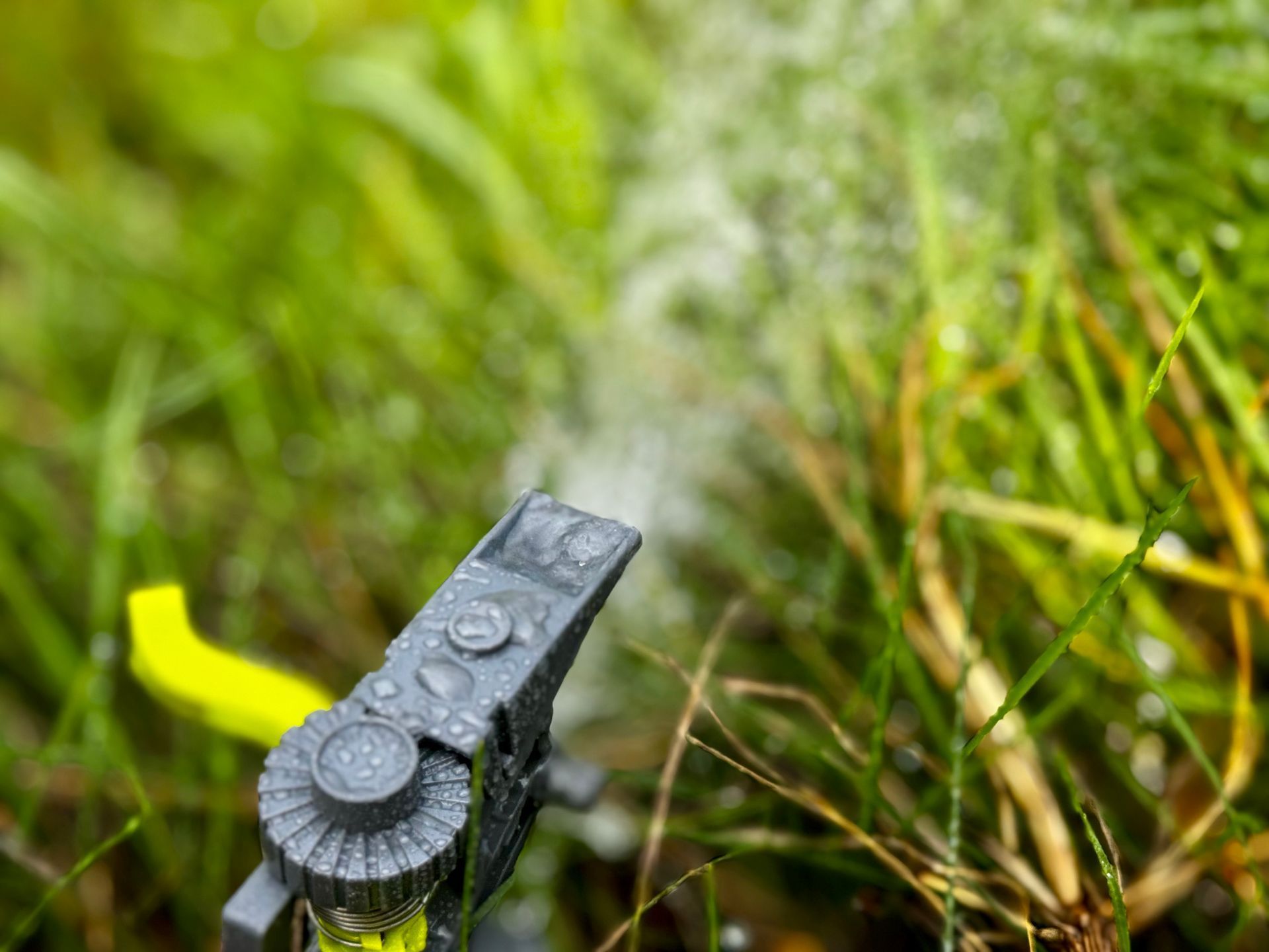 Close-up of a black garden sprinkler head among green grass with a yellow marker in the background
