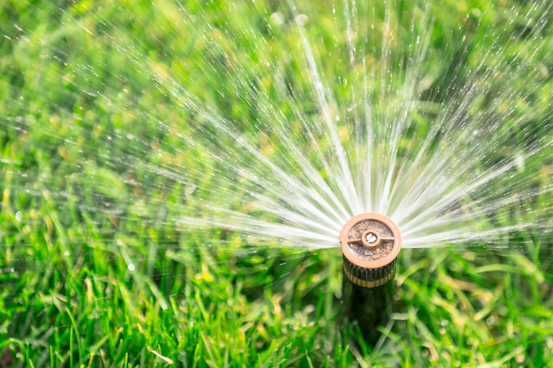 Close-up of a garden sprinkler spraying water over green grass.