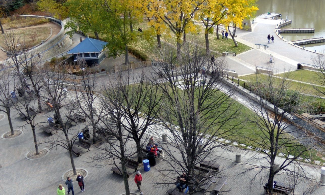 Aerial view of people walking through a park with leafless trees, paths, and a small blue-roofed pavilion.
