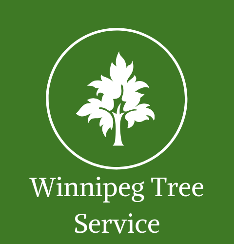 Winnipeg Tree Service logo with white tree icon and text on a green background