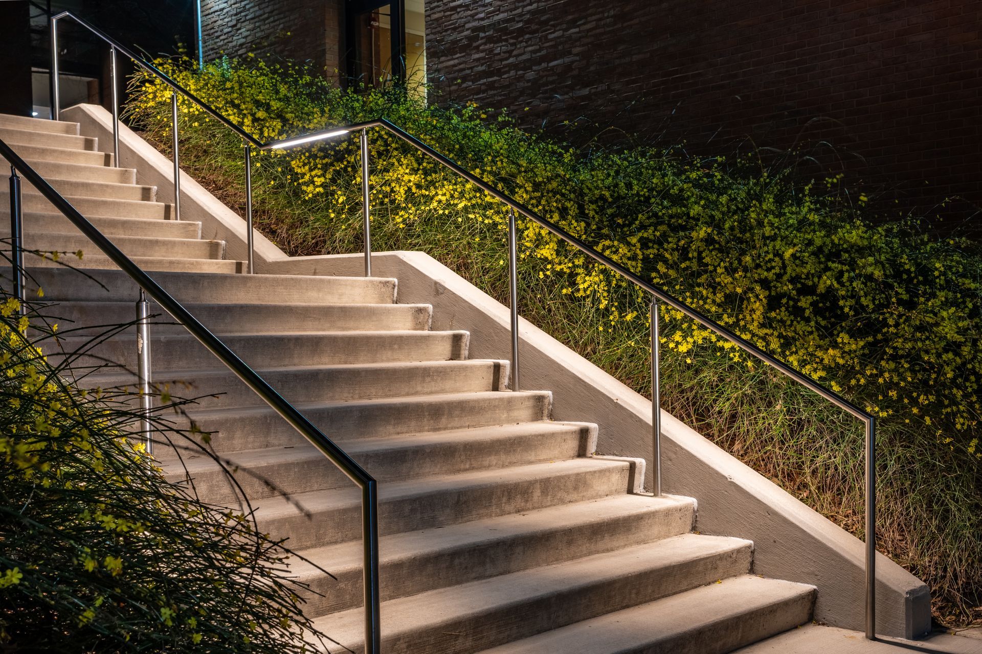 Outdoor stairway illuminated by sleek LED rail lighting beside dense shrubs at night.