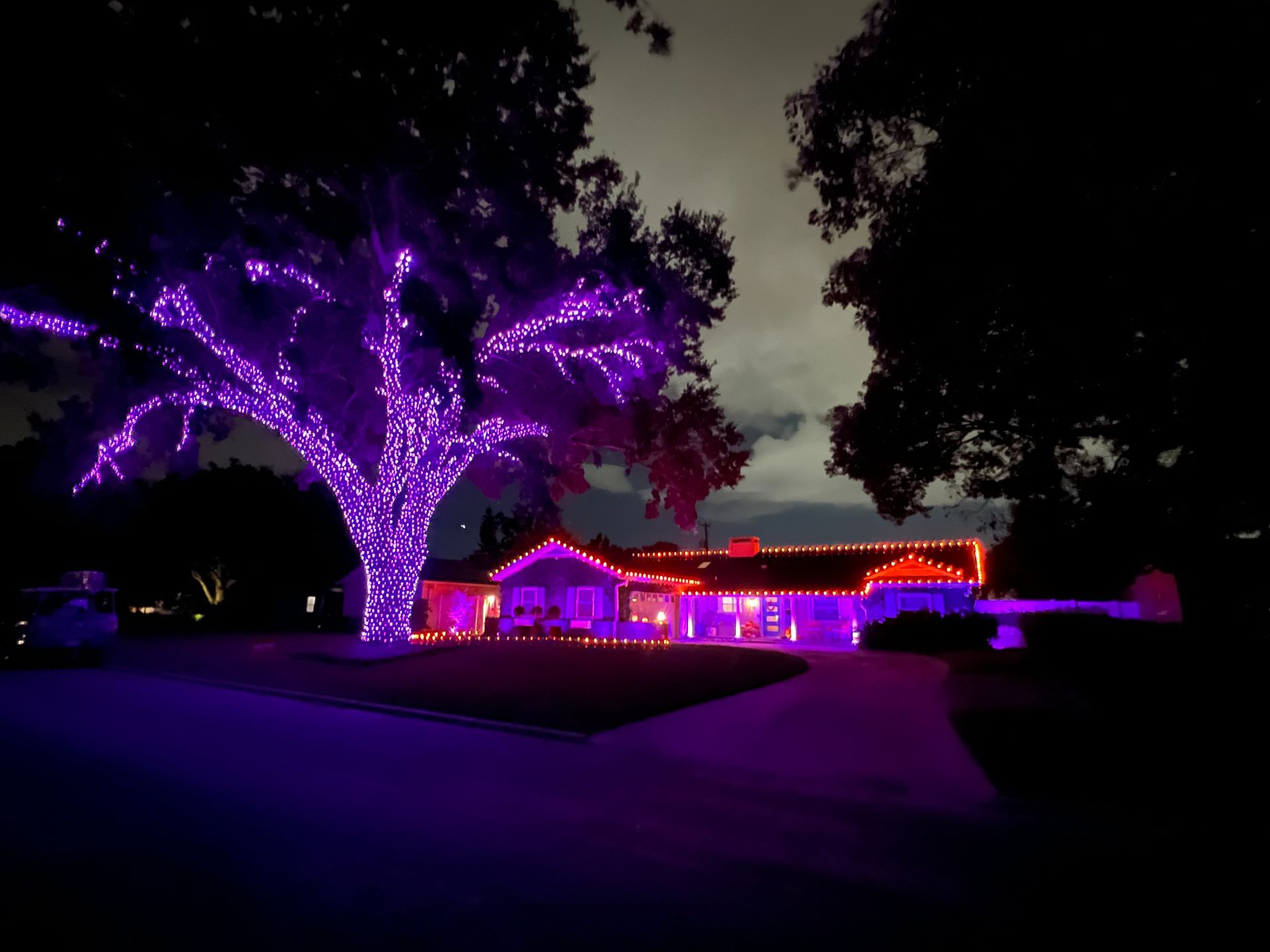 Purple lights on house
