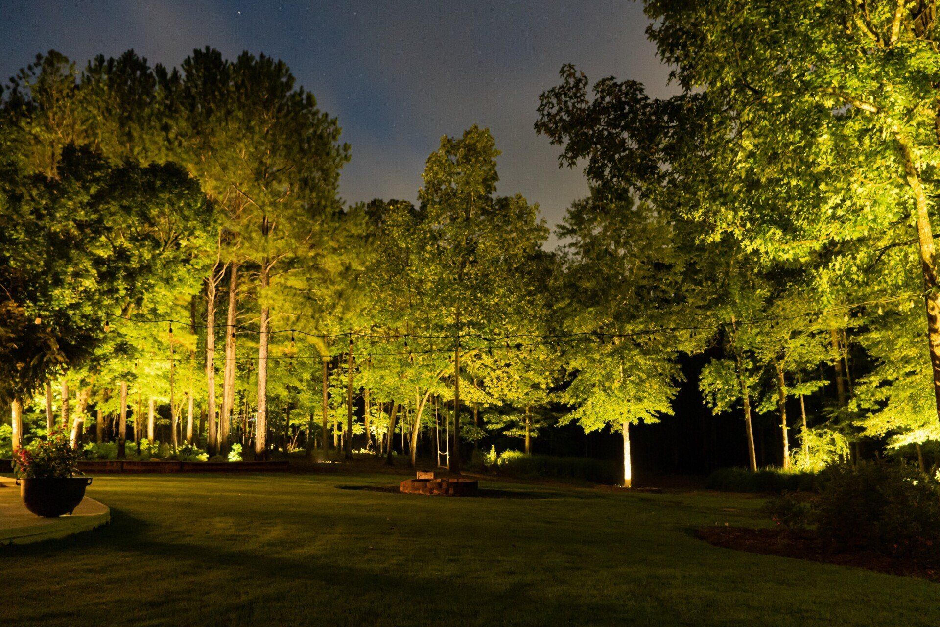 Night landscape lighting trees