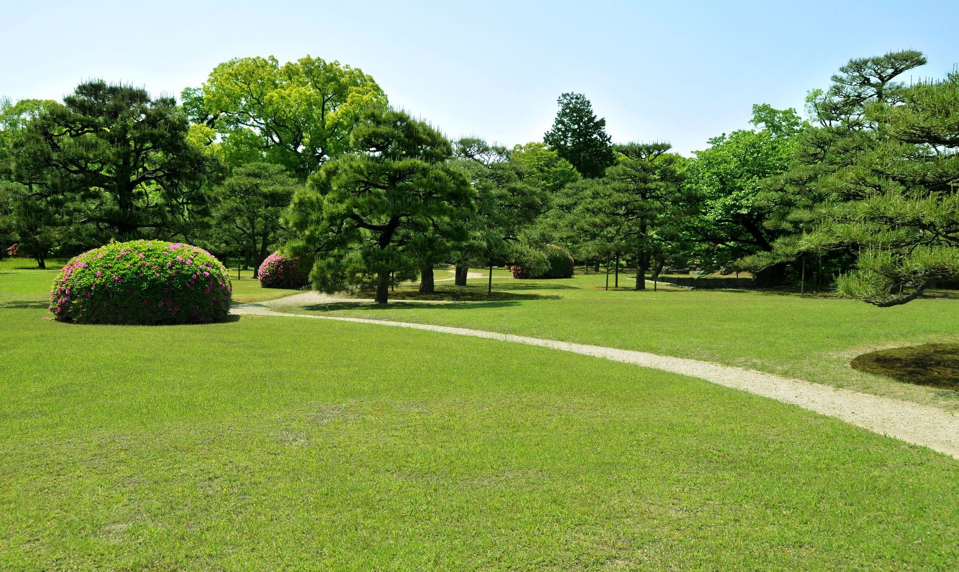 Green lawn with trees and shrubbery. Green lawn with trees and shrubbery.