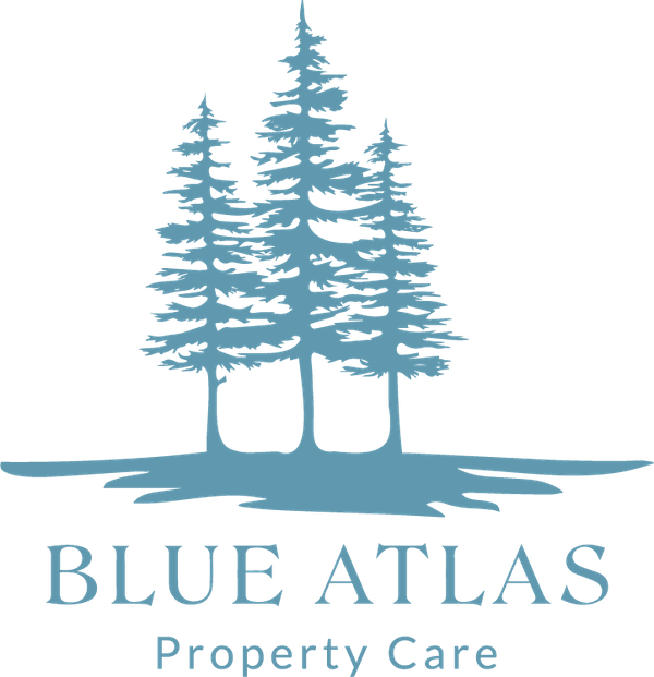 Blue silhouette of three pine trees, over a line, with 