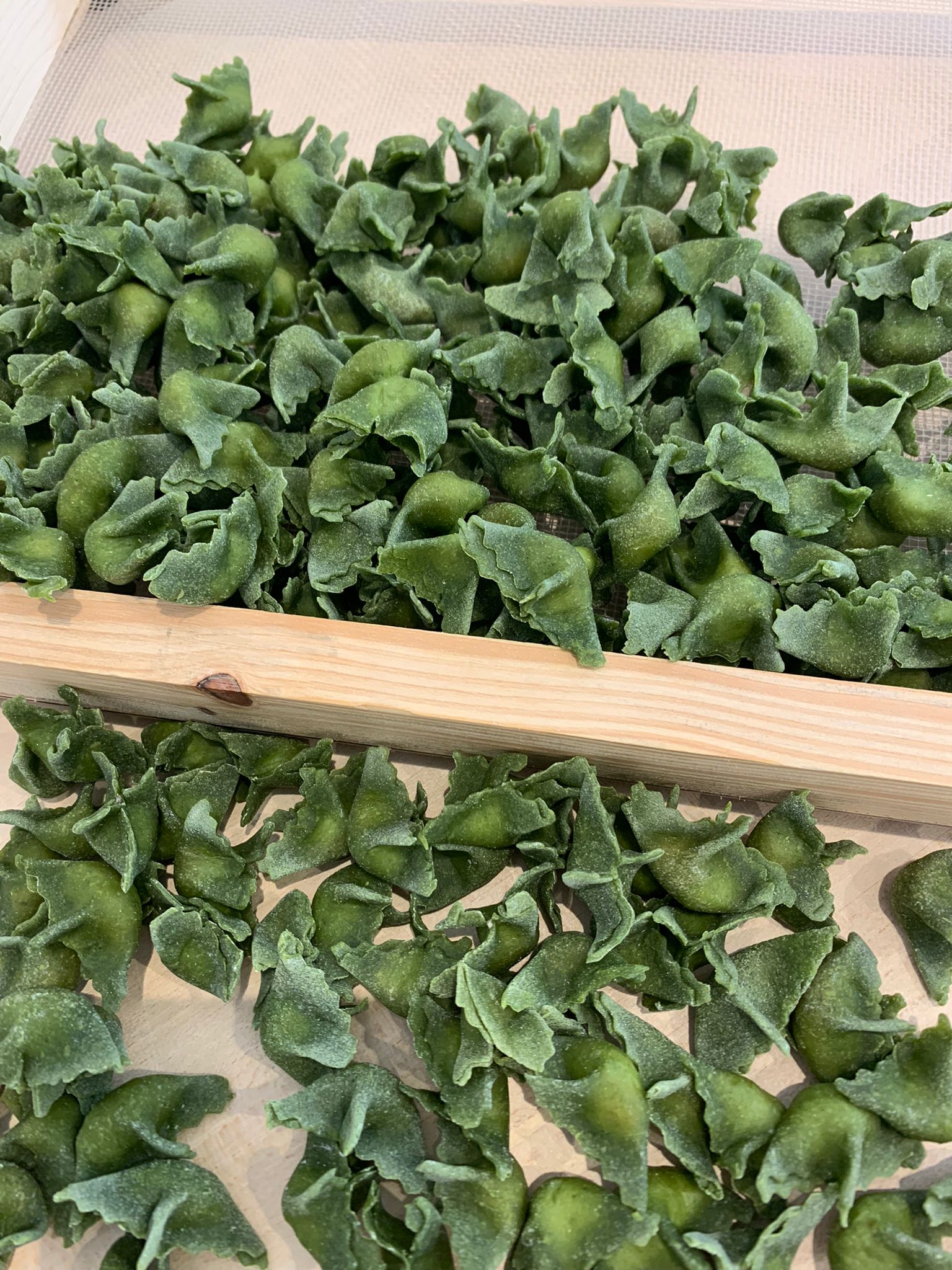 Lasagne San Lazzaro di Savena L'Arte della Pasta Fresca