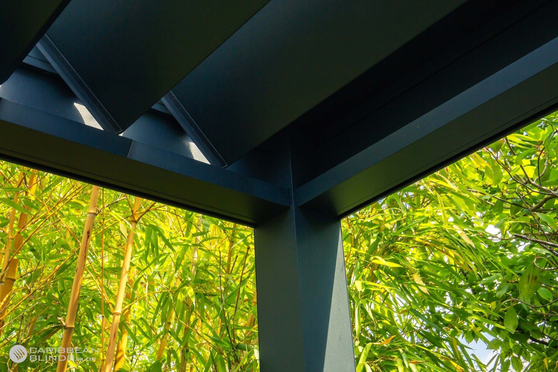 Low-angle view of a dark, modern metal pergola structure framed against lush green bamboo foliage.