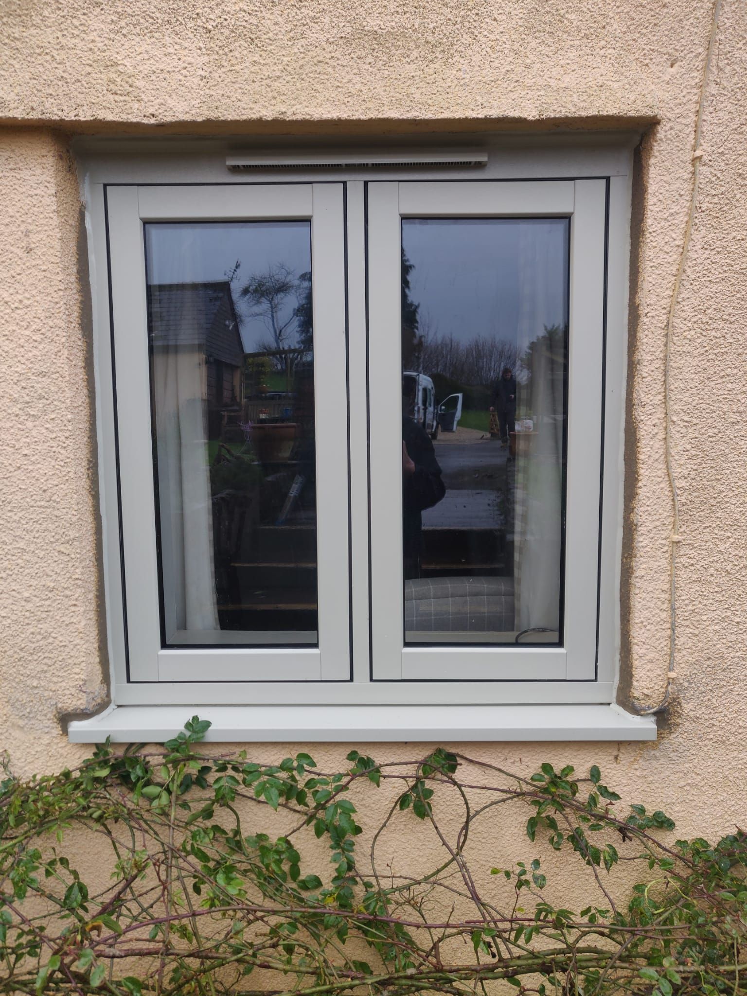 A light grey, two-pane window set in a beige pebble-dash exterior wall, with green plant growth beneath the sill.
