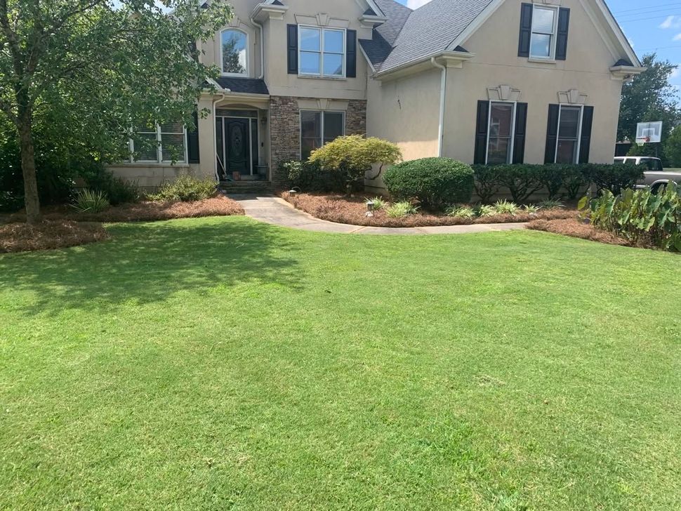 Cared-for residential property frontage with healthy lawn