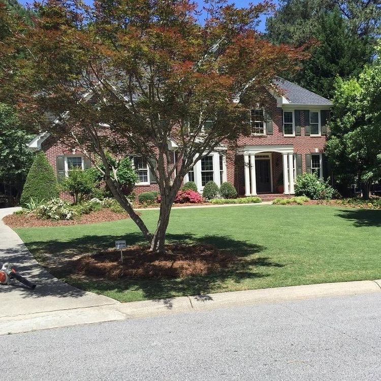 Landscaping professional maintaining a planted bed