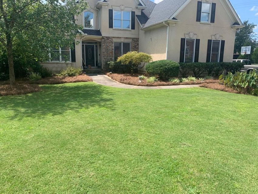 Freshly cut residential lawn with crisp edging
