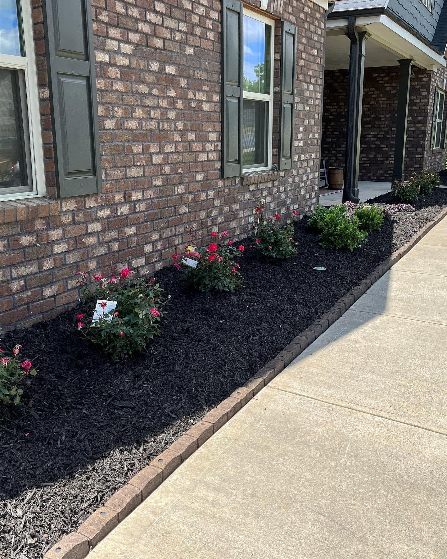 Neatly maintained suburban lawn with planting beds and mature trees